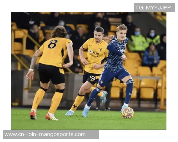 2018年12月26日富勒姆与狼队比赛前瞻及胜负预测分析